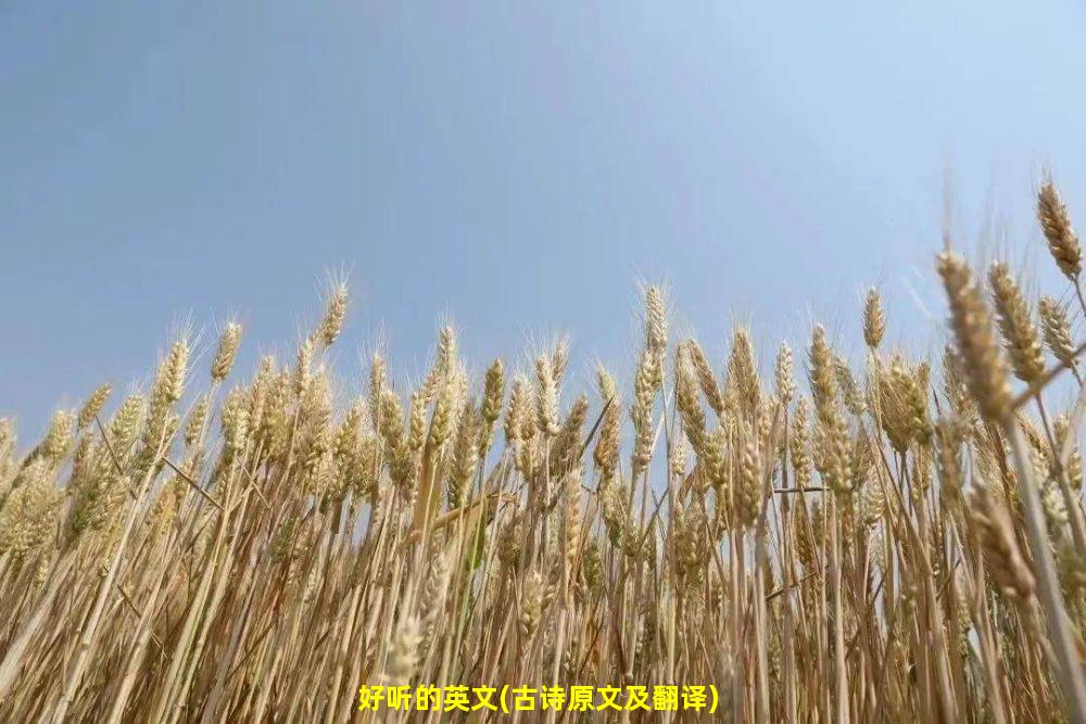 好听的英文(古诗原文及翻译)