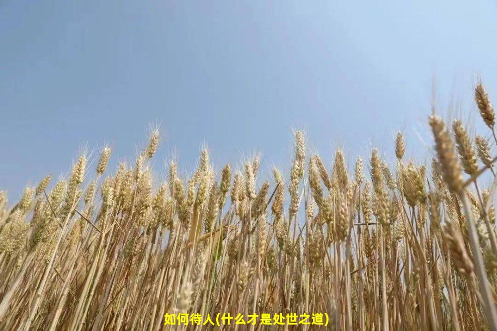 如何待人(什么才是处世之道)