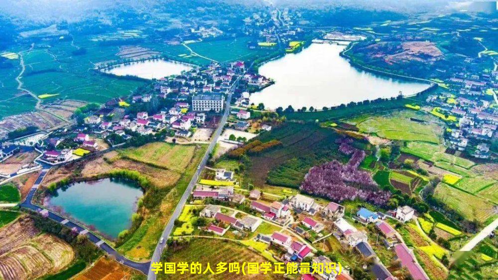 学国学的人多吗(国学正能量知识)