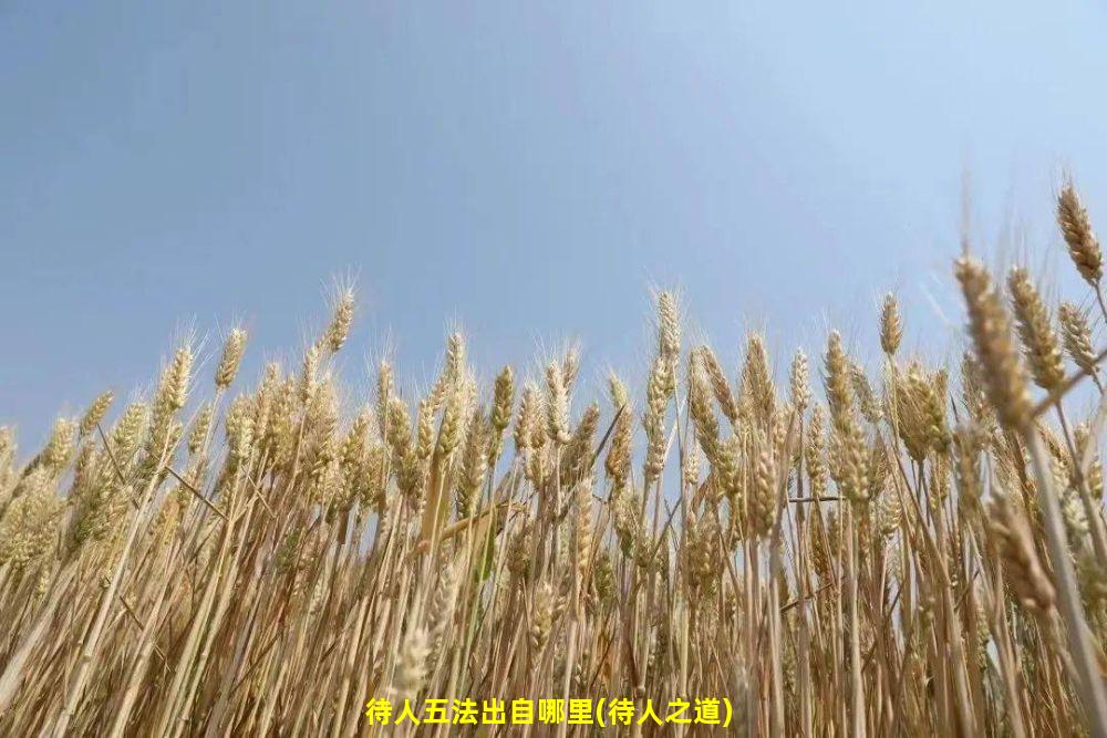 待人五法出自哪里(待人之道)