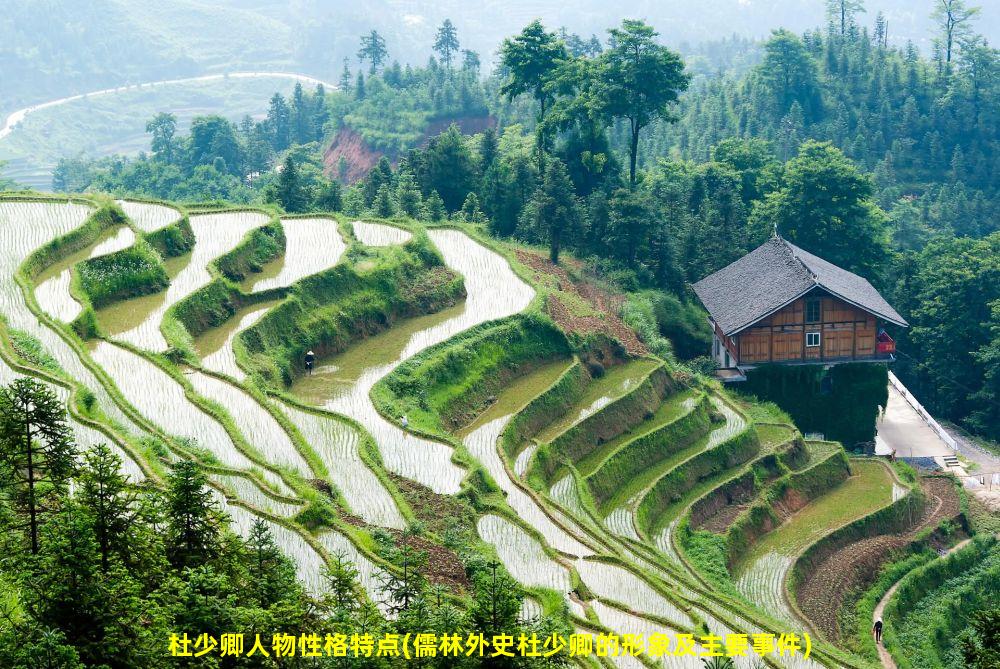 杜少卿人物性格特点(儒林外史杜少卿的形象及主要事件)