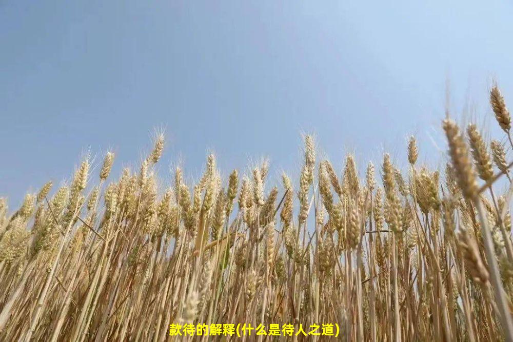 款待的解释(什么是待人之道)