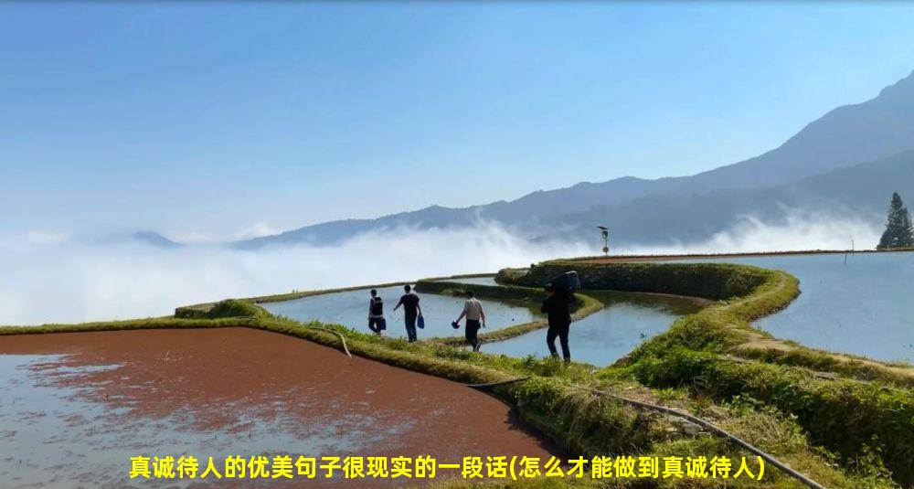 真诚待人的优美句子很现实的一段话(怎么才能做到真诚待人)
