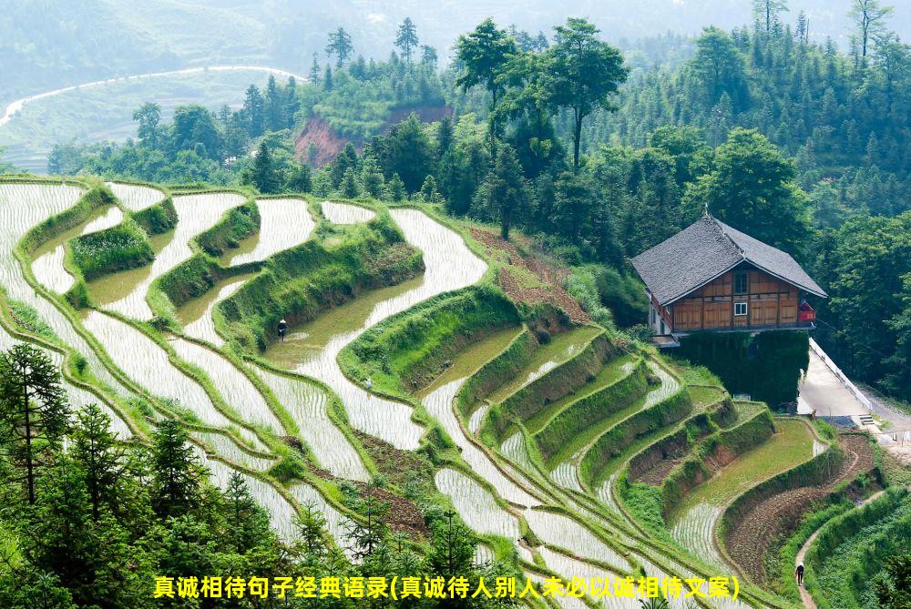 真诚相待句子经典语录(真诚待人别人未必以诚相待文案)
