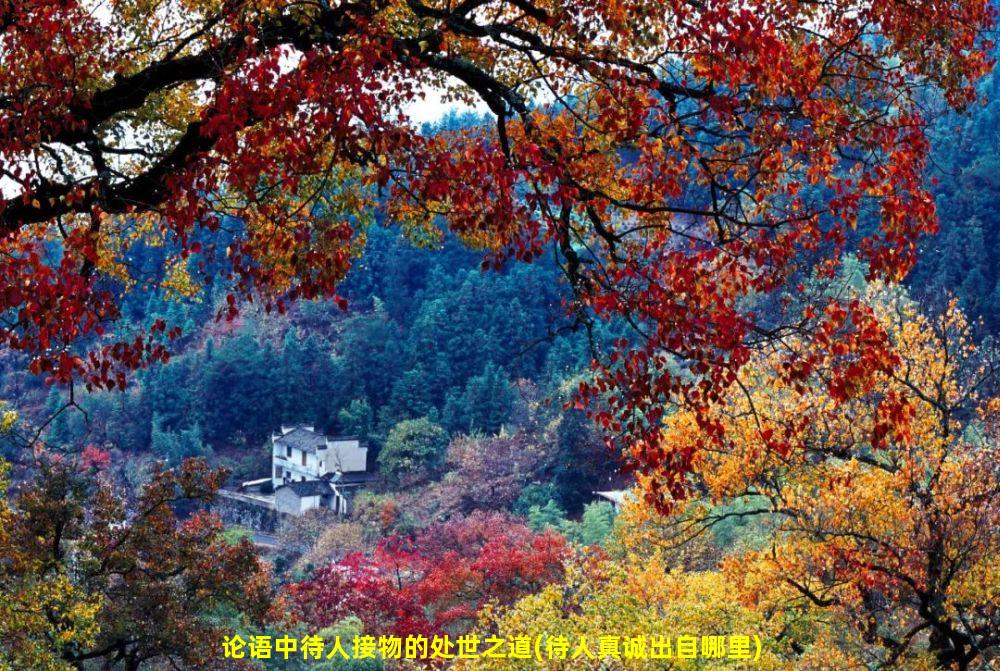 论语中待人接物的处世之道(待人真诚出自哪里)